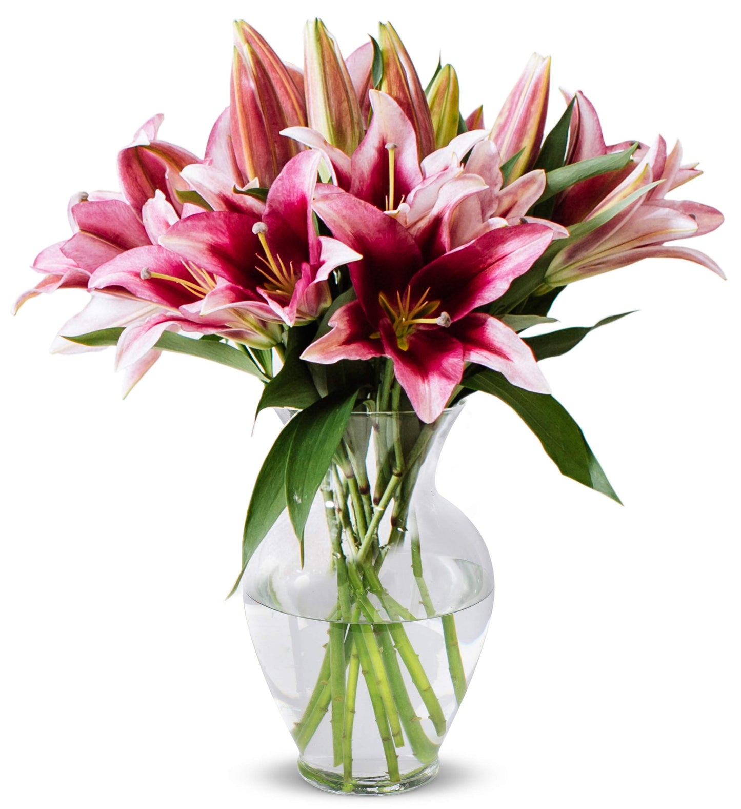 Benchmark Bouquets, 8 Stem Stargazer Lilies, Glass Vase Included, Gift Fresh Flowers For Birthday, Anniversary, Get Well, Sympat