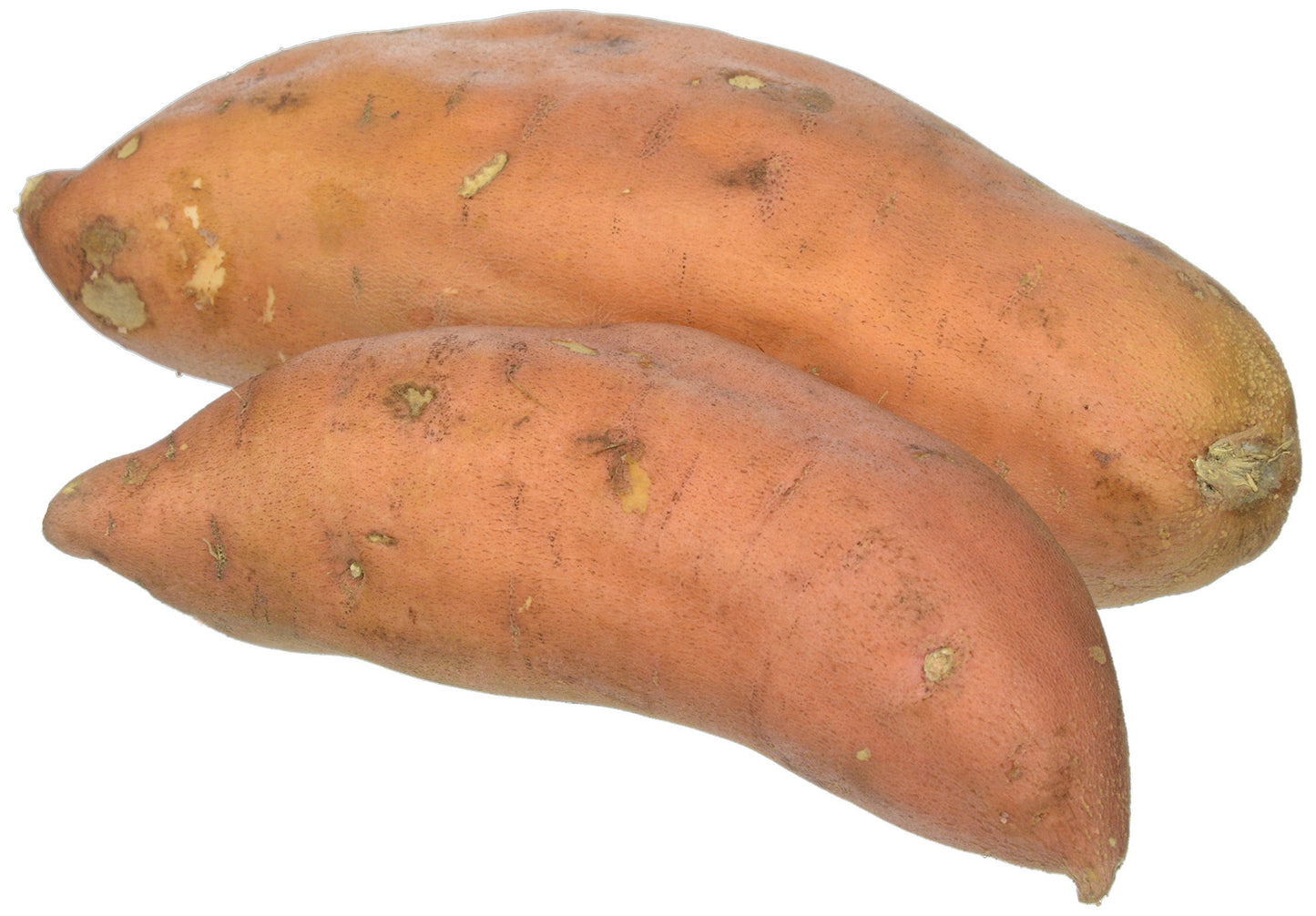 Fresh Produce 48oz Bag Yam - 3 Pound (Pack of 1) - Versatile Ingredient for Cooking and Baking