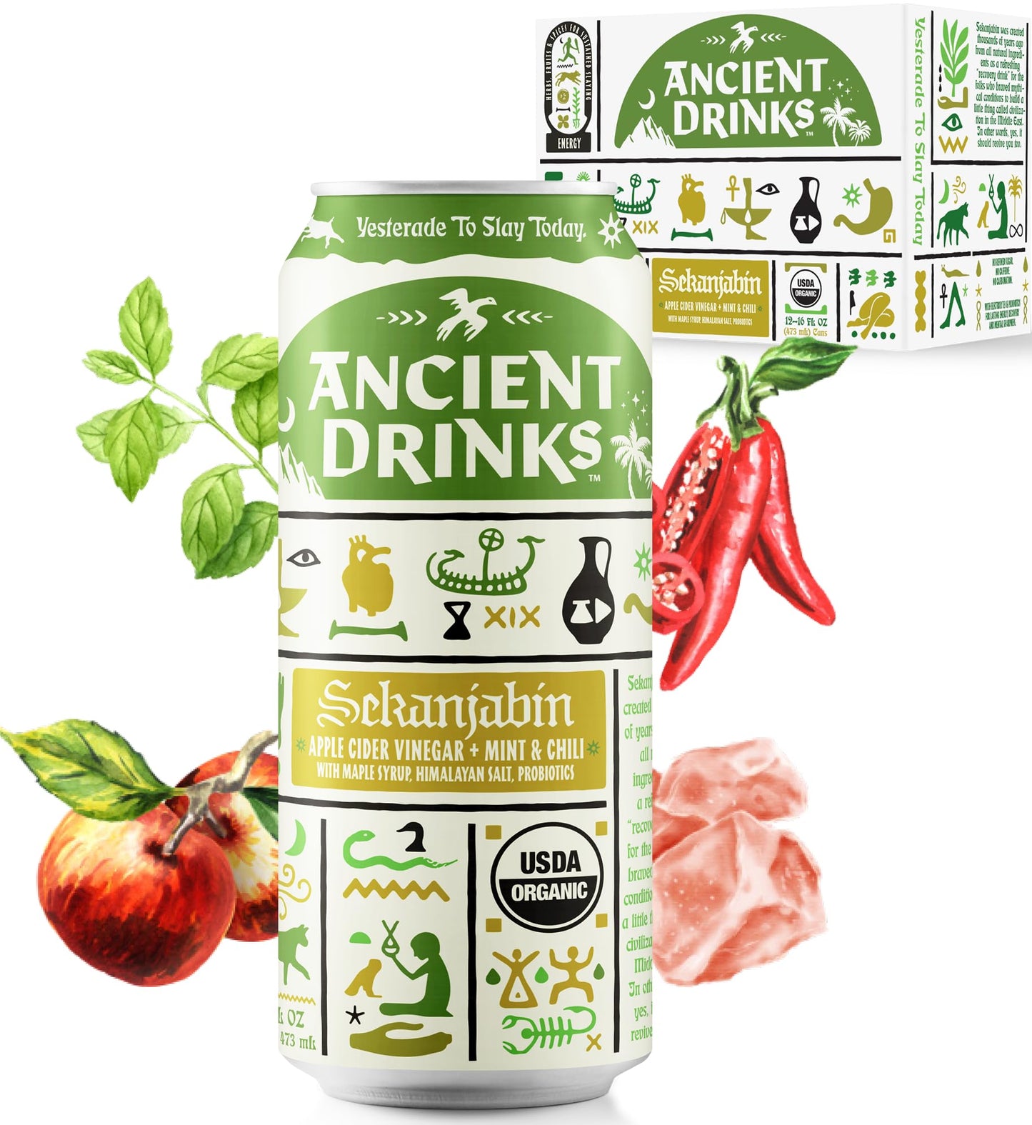 ANCIENT DRINKS Apple Cider Vinegar Beverage with Electrolytes & Probiotics, Mint & Chili, 16 fl oz, Pack of 12 Cans
