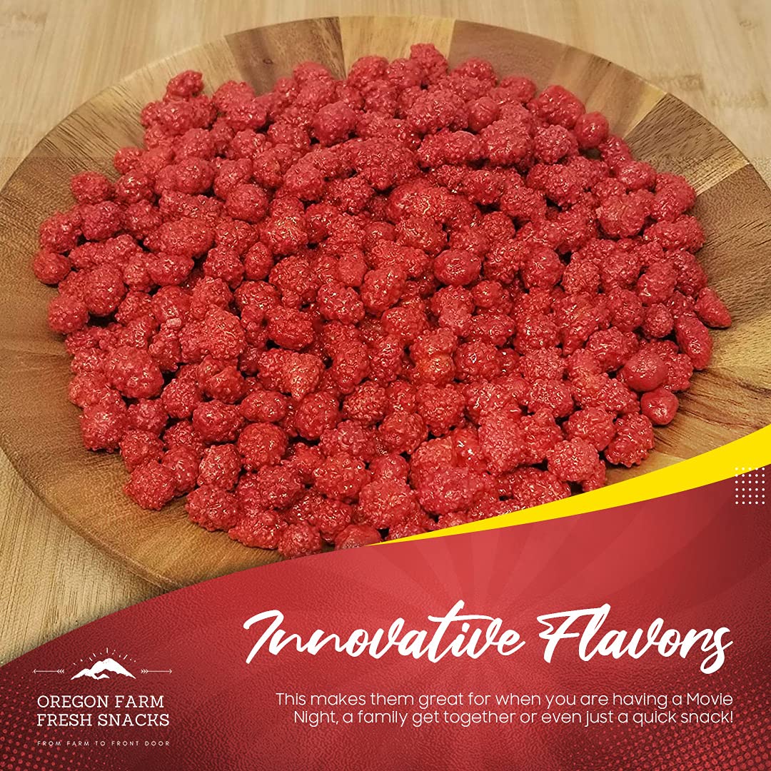 Oregon Farm Fresh Snacks French Burnt Peanuts - Classic Old Fashioned Sweet and Salty Crunchy Red Candy Spanish Snack Enriched w