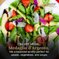 Giusti Balsamic Vinegar of Modena IGP - 1 Silver Medal Italian Gourmet Aceto Balsamico di Modena With Rich Flavor for Salads  Marinades  Cheese & More  Made in Italy - 8.45 fl oz (250 ml) - Pack of 1