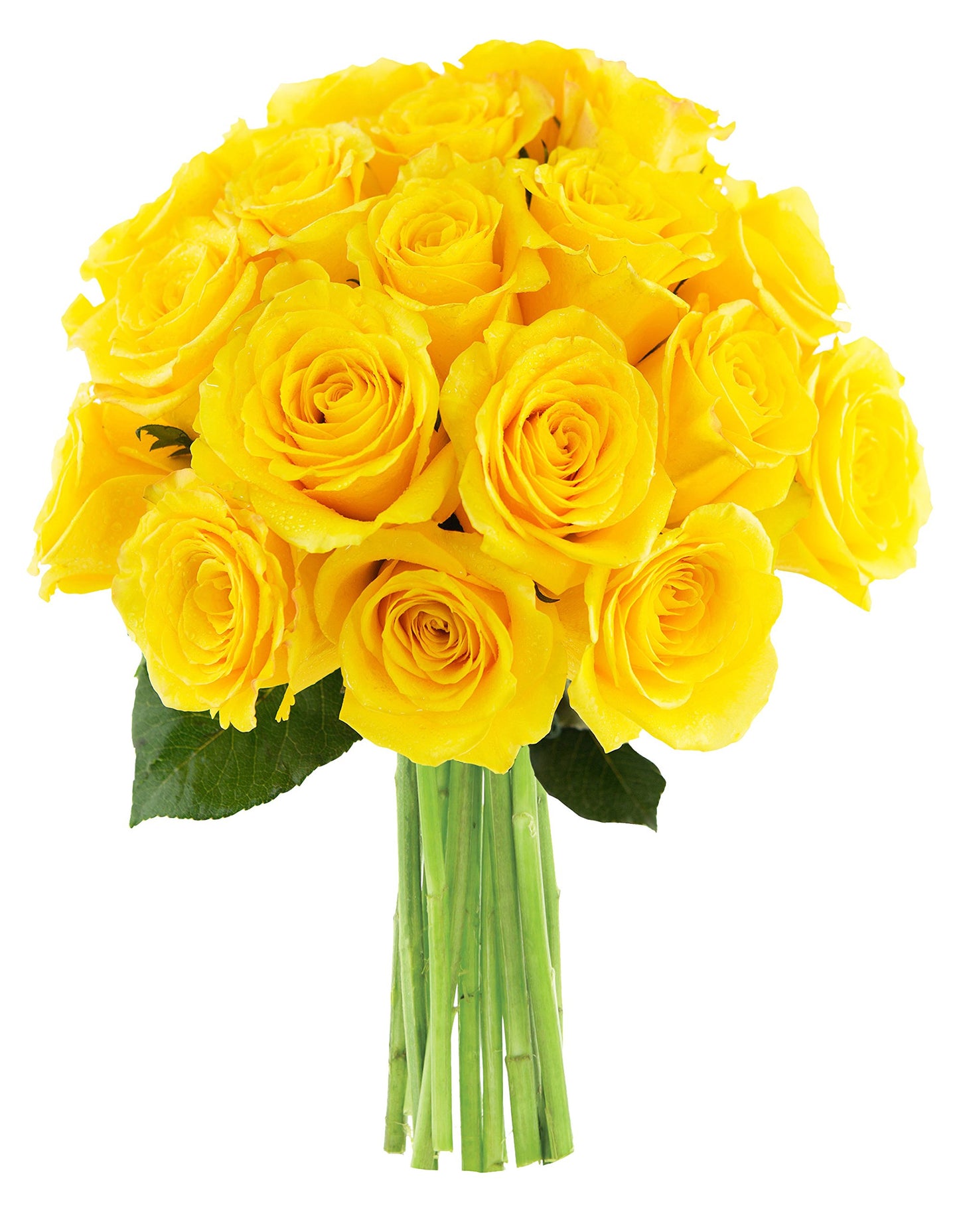 KaBloom Bouquet of 18 Yellow Roses - Fresh Cut Flowers for Gift, Sympathy, Anniversary, Mothers Day, Model KADF2790-V999-A999