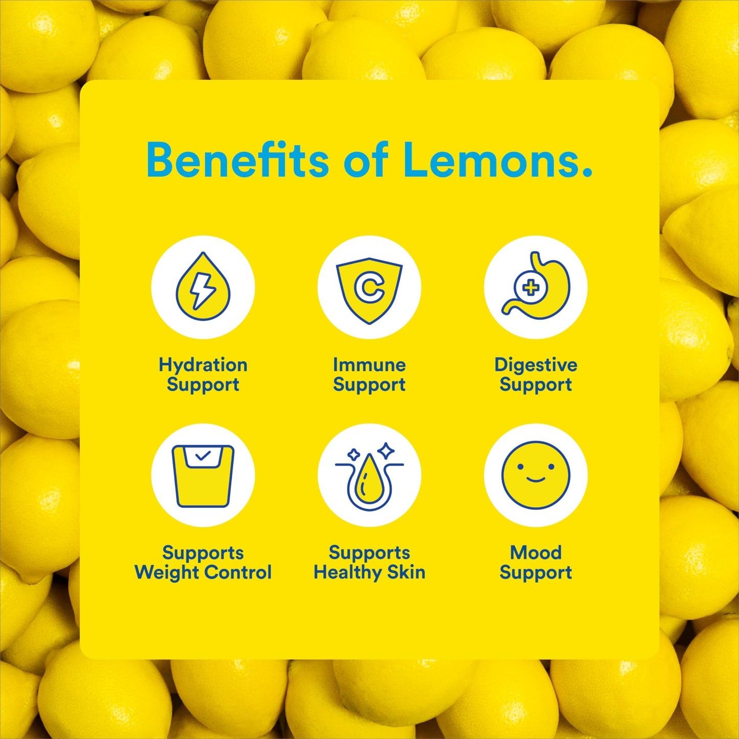 Lemon Perfect Blueberry, Hydrating Flavored Lemon Water, Zero Sugar, Delicious and Refreshing, Organic, 15.2 fl oz Bottles (12-P