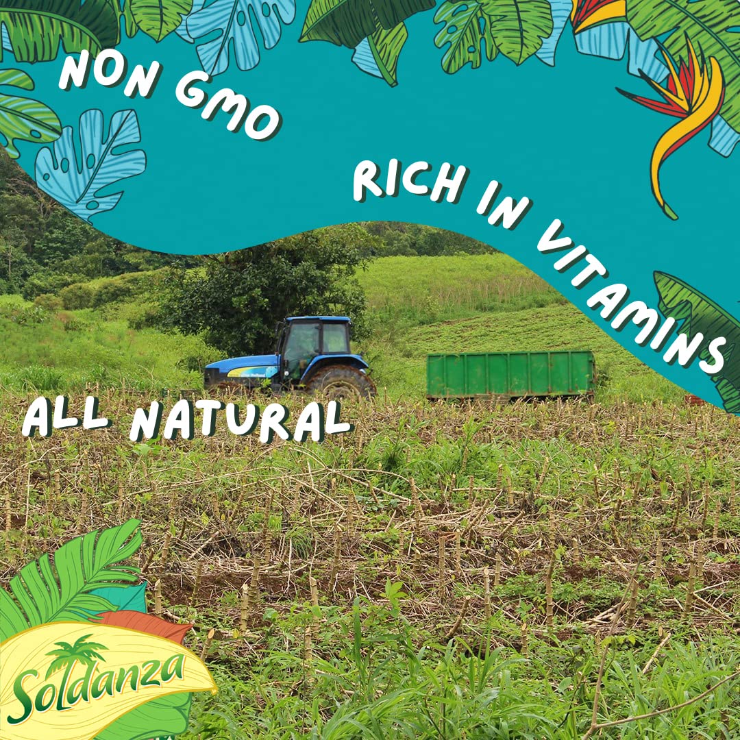Soldanza Plantain Chips, Variety Pack 2.5 Oz (Pack Of 12) 4 X Salted Plantain Chips, 4 X Ripe Plantain Chips, 4 X Garlic Plantai