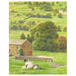 Yorkshire Tea Decaffeinated Tea Bags 250 g (Pack of 5)