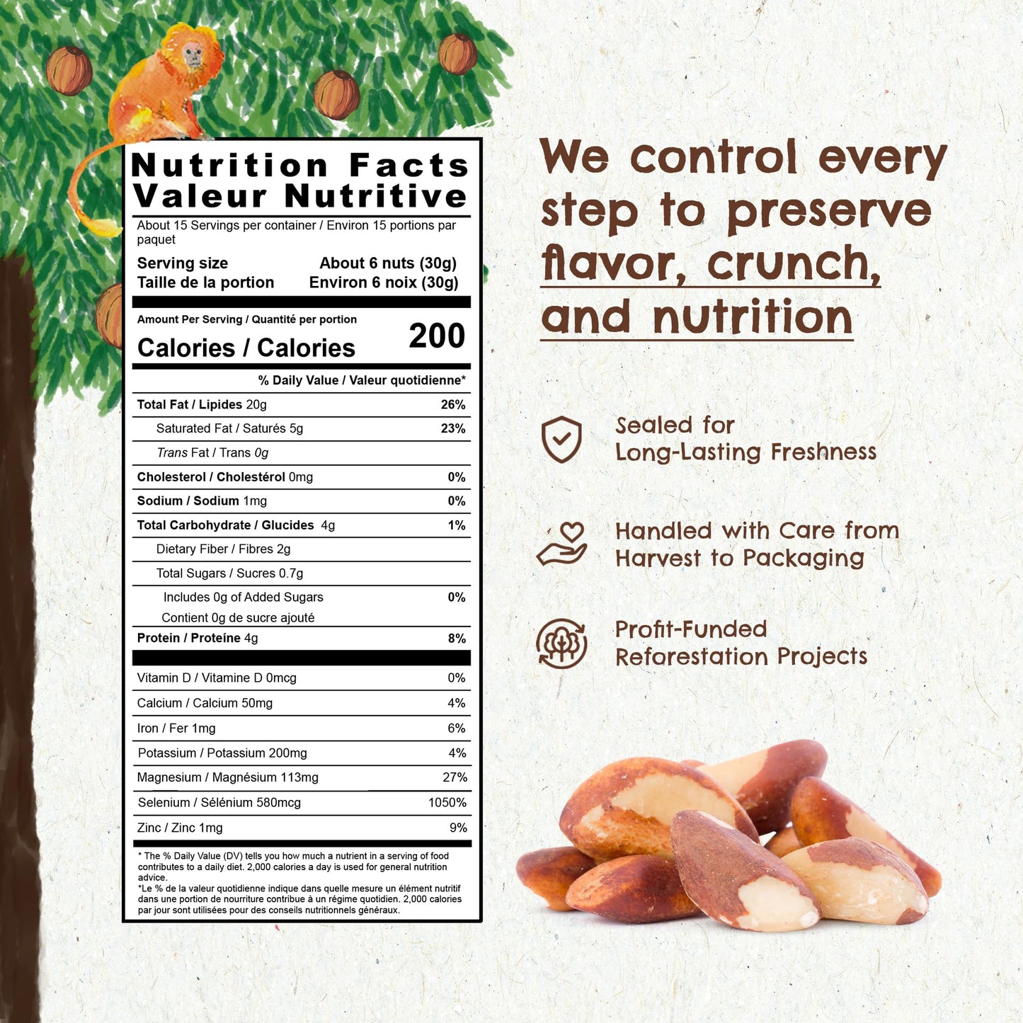 Floresta em P   The True Organic Premium Brazil Nuts (15oz) Raw & Unsalted | Kosher | Non-Gmo | Certified Organic | Fresh | Vega