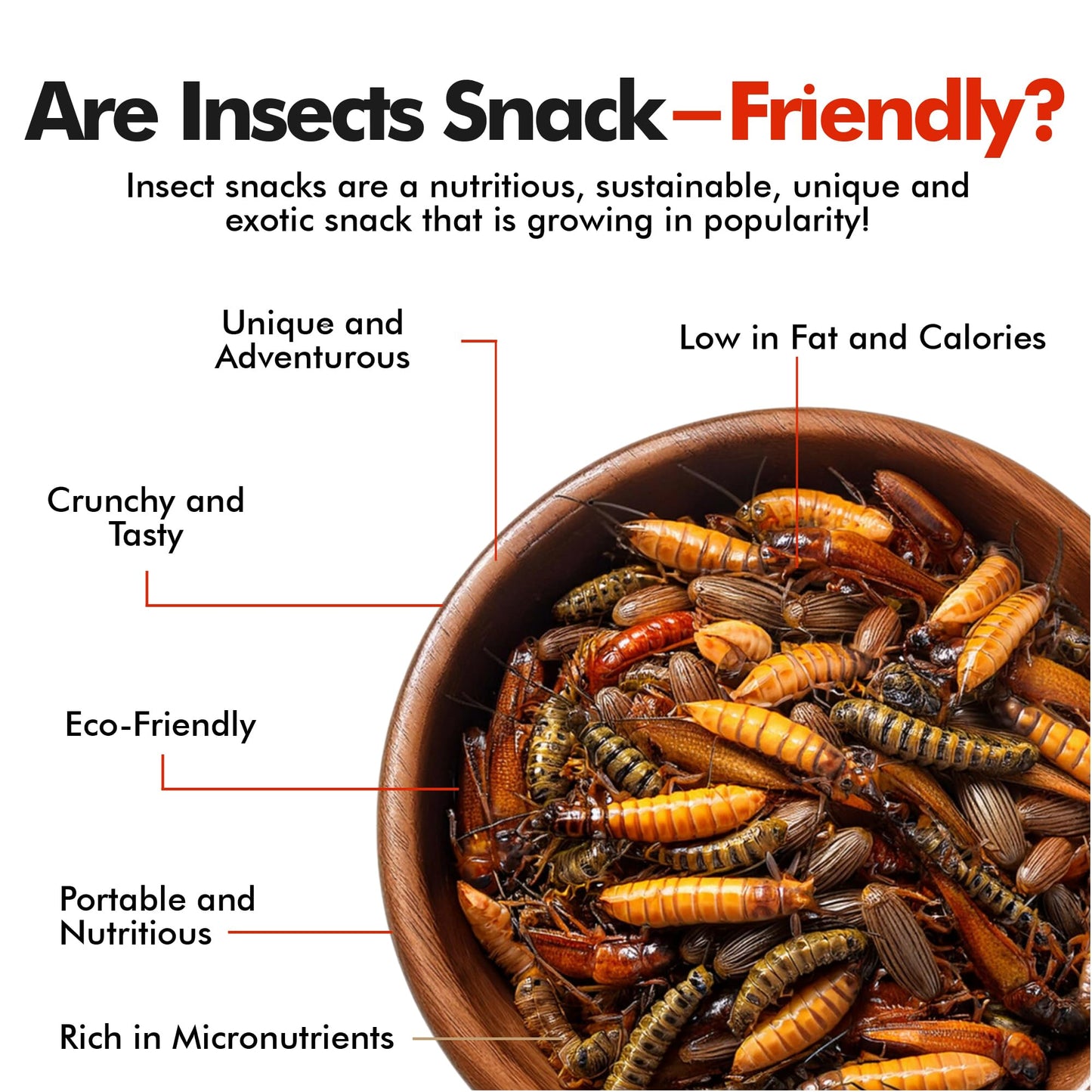 Jerky-n-Spice Edible Bugs 6-Pack, Flavored Larvae Snacks, Mixed Multi-Pack