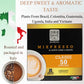 Mixpresso Espresso compact pieces Compatible with Nespresso, Medium Roast 80% Arabica, 50 Count, C1CLA50, Coffee Color