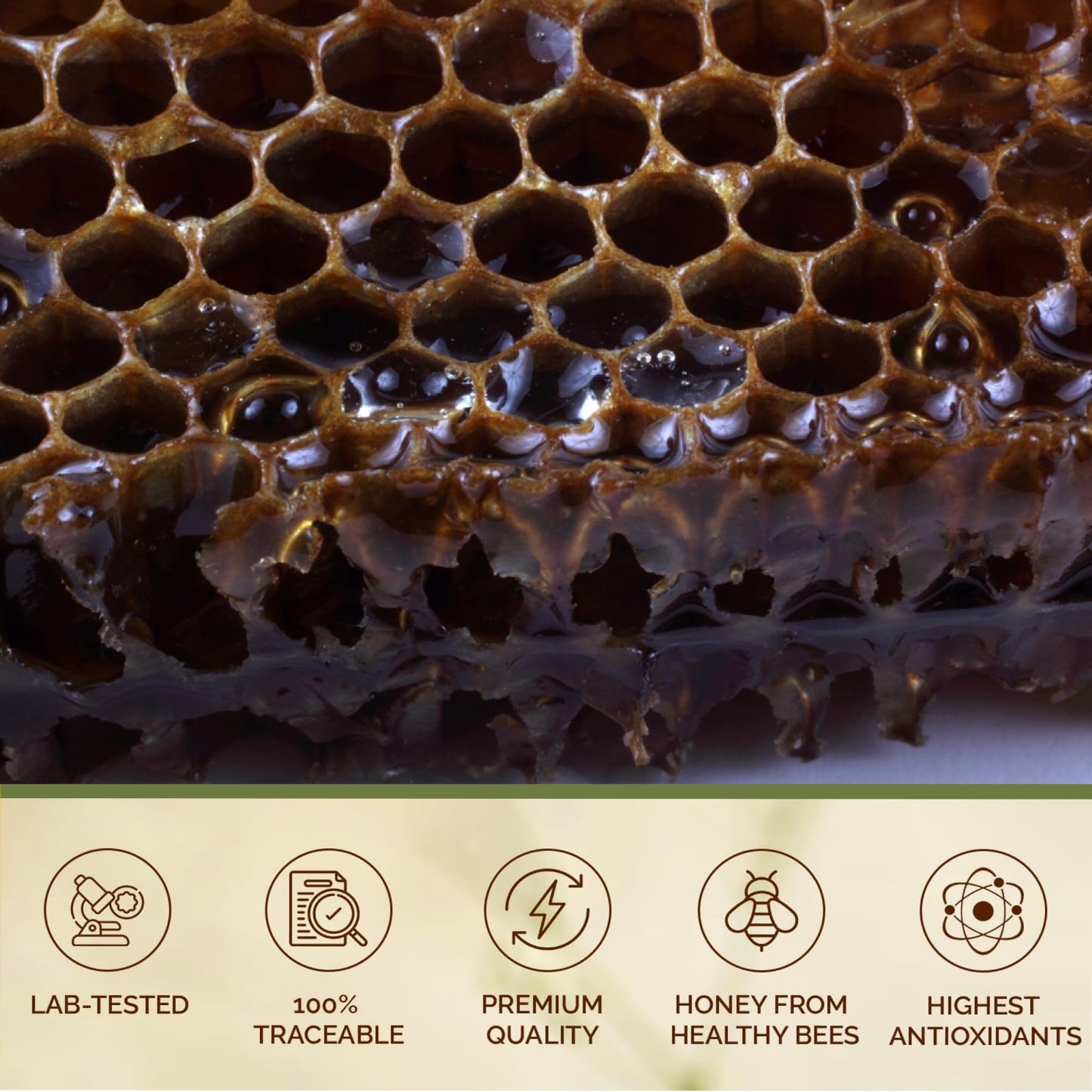 Oneroot Raw Buckwheat Honey - 500G/17.6Oz, Unheated, Unfiltered And Unprocessed Natural Dark Honey, Rich In Antioxidants Pure Bu