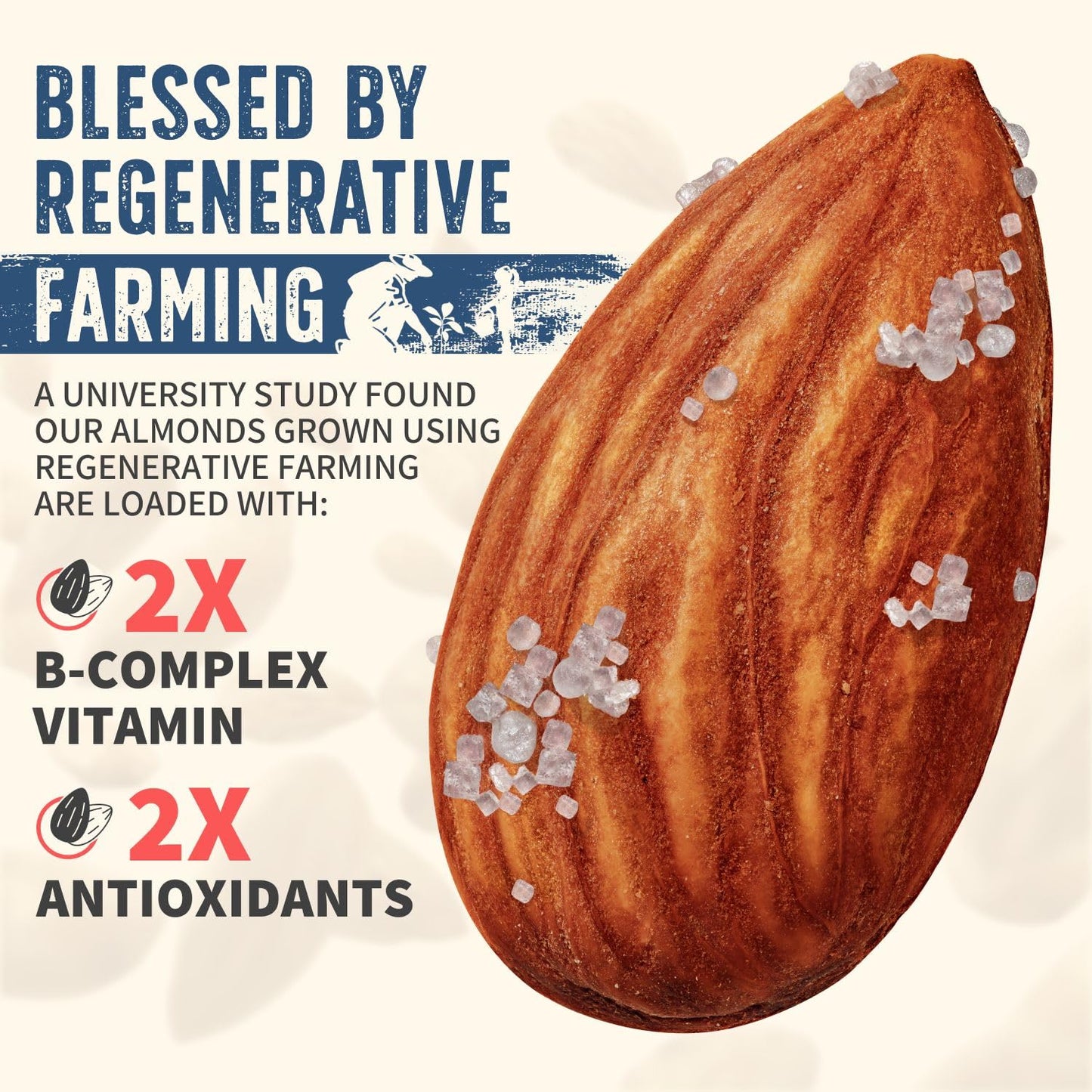 Burroughs Family Farms 3 Lb Roasted Salted Almonds - Usda Organic, First Regenerative Organic Certified Almond Farm - 2X The Ant