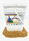 Durum Wheat Berries I Wheatland I 20lb Bucket I 25 Year Shelf Life I Tested Chemical Free I Non GMO I Kosher I Vegan I Mylar + 4