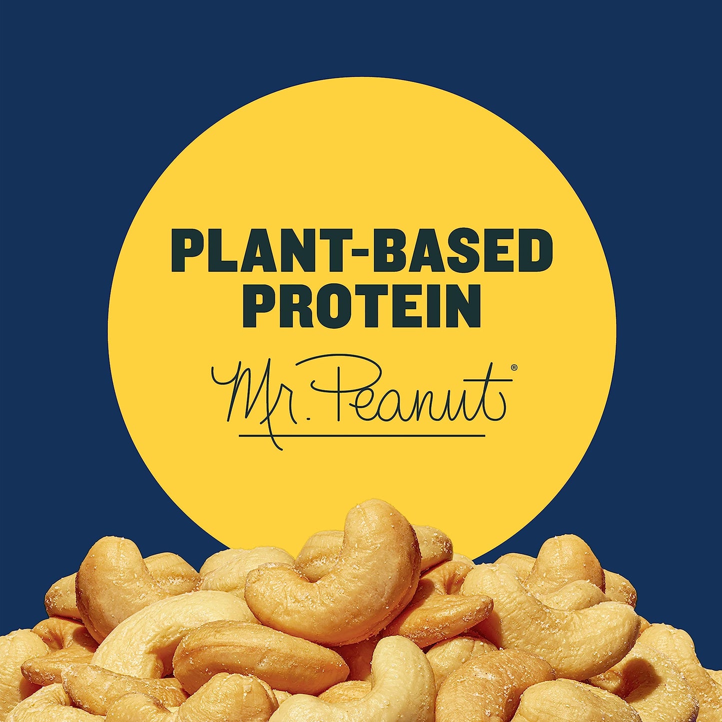 PLANTERS Deluxe Salted Whole Cashews, Roasted Snack Nuts, 18.25 oz Canister, Kosher