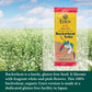 Eden, 100% Organic Buckwheat Soba Pasta, Gluten Free, Traditionally Made In Japan, 8 Oz (3-Pack)