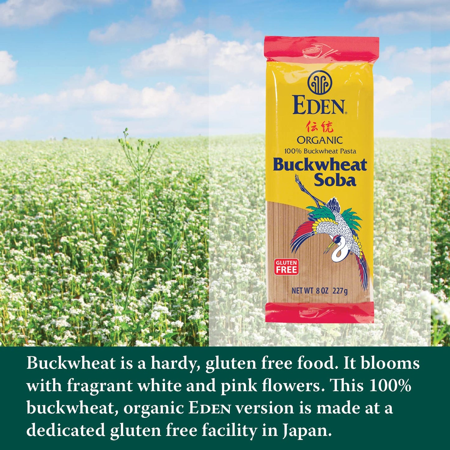 Eden, 100% Organic Buckwheat Soba Pasta, Gluten Free, Traditionally Made In Japan, 8 Oz (3-Pack)