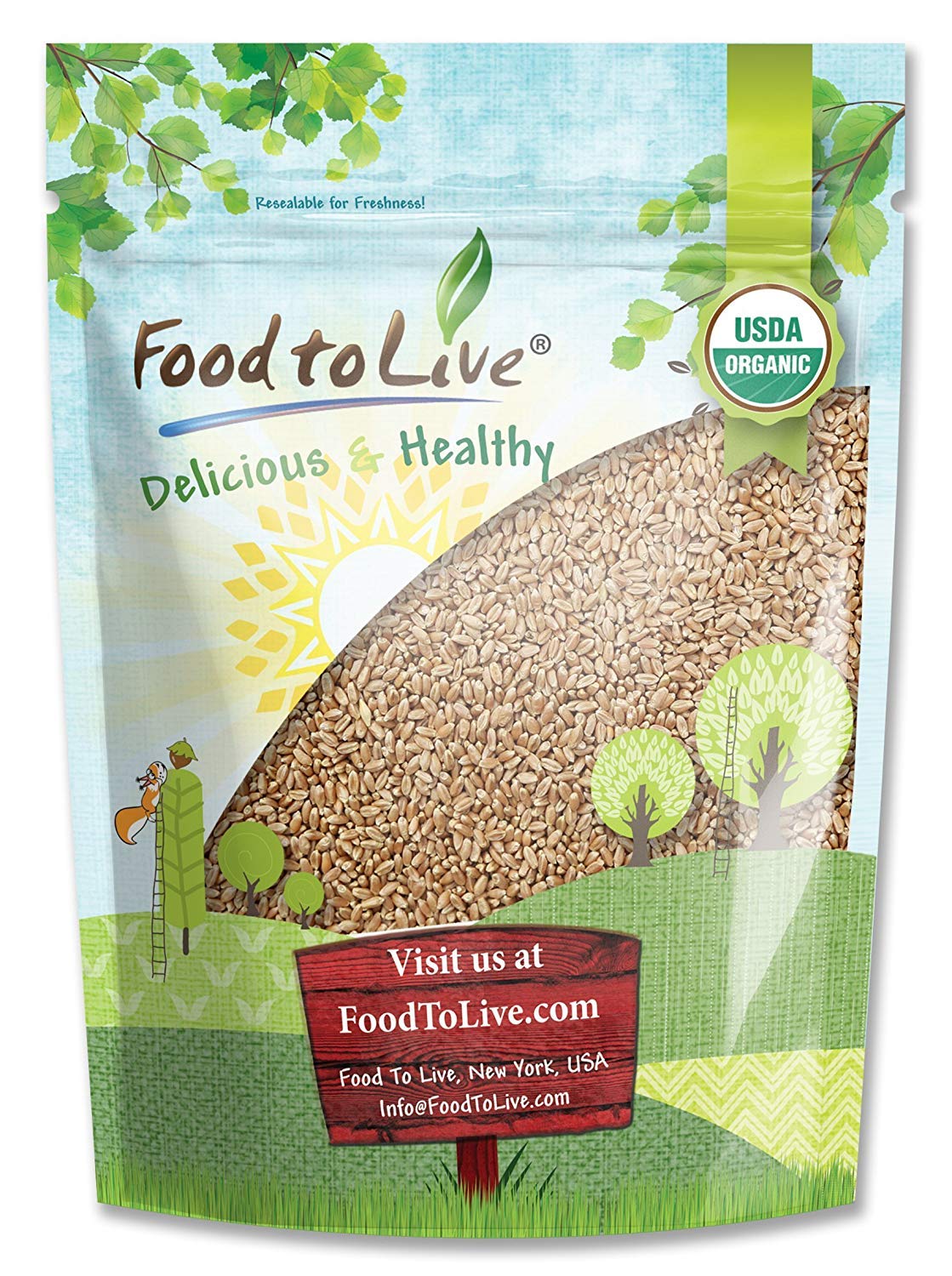 Food to Live - Organic Hard Red Wheat Berries, 1 Pound Non-GMO, Kosher, Raw, Sproutable, Vegan, Sodium and Sugar Free