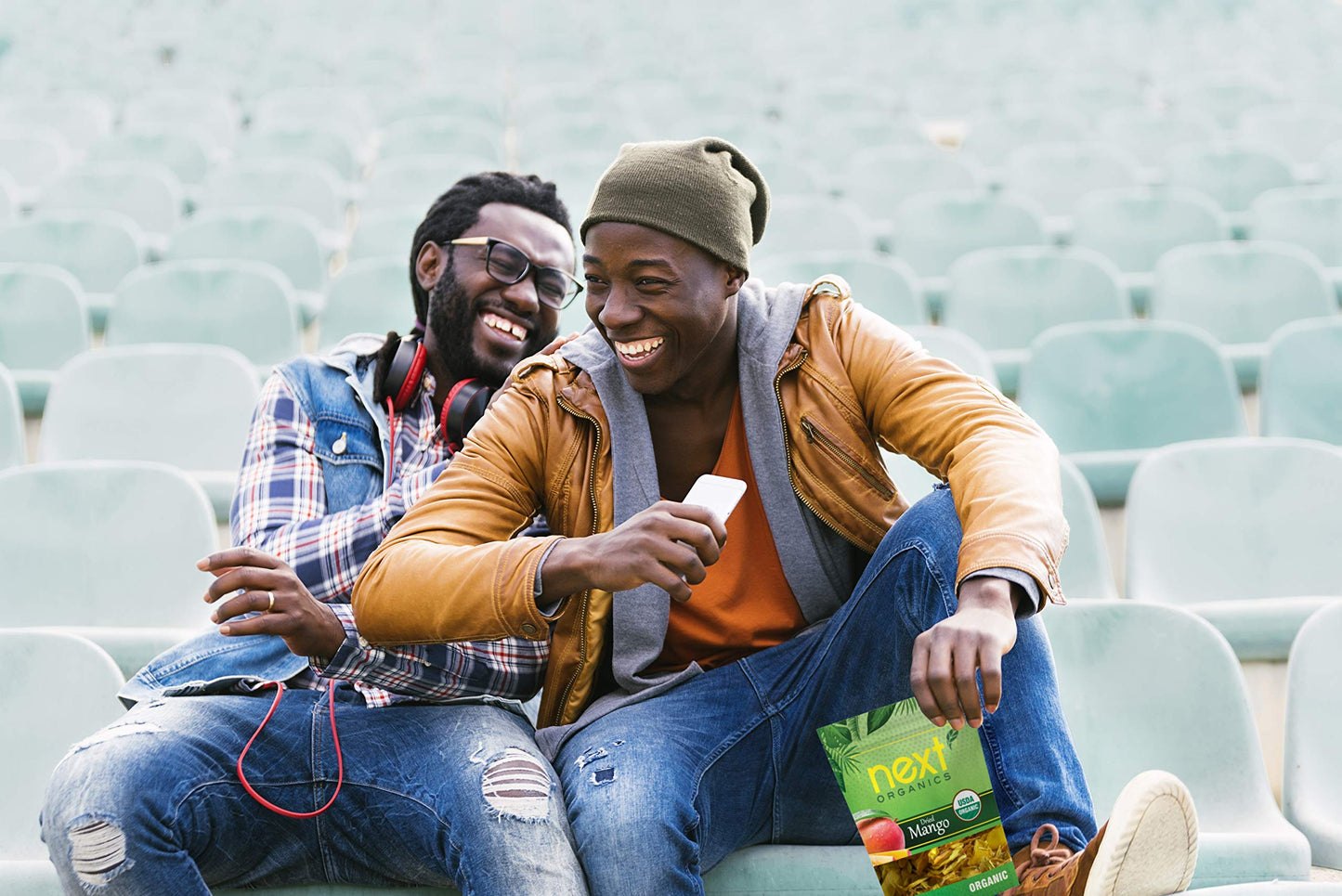 Next Organics Dried Mango, 6 oz Bag (Pack of 3)