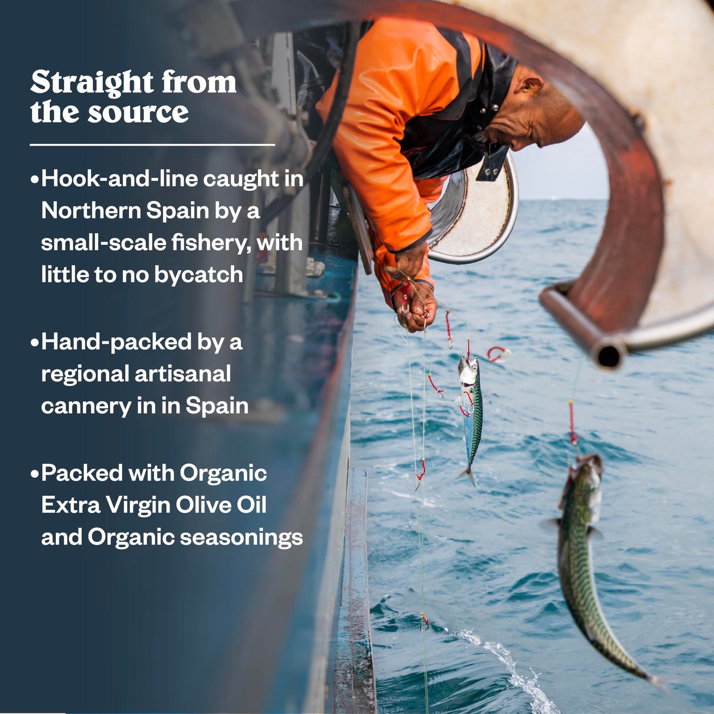 Patagonia Provisions Lemon Caper Wild Mackerel | Responsibly Sourced In Spain | 19G Protein & Gluten Free | 10-Pack