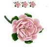 Global Sugar Art Protea Sugar Cake Flowers Medium Pink, 3 Count by Chef Alan Tetreault