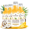 TrueSeaMoss Pina Colada Sea Moss Drink – Vegan Coconut Pineapple – 4 x 12 fl oz Bottles – Made in USA