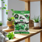 Walkers Nonsuch British Mint Toffee Candy 5.29 Oz (150G) - Natural Mint Flavor, Whole Milk Toffee, Individually Wrapped Chewy Candy Pack, Classic English Sweets, Imported Uk