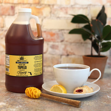 Honey Feast Tupelo Honey 6Lb - Authentic Florida Honey From Black Gum Tupelo & Holly Blend, Raw Honey Bulk, Pure American Honey
