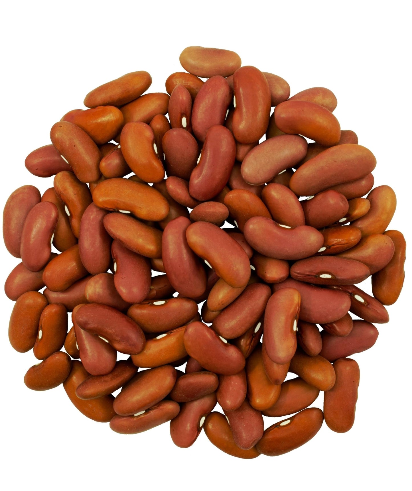 CLEAR CREEK Certified Glyphosate Residue Free Kidney Beans Grown in Washington | 36 lbs | Non-GMO | Kosher | Vegan | Non-Irradia