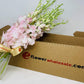 Prime Mother'S Day Orchid Delivery Eflowerwholesale Peachy Dendrobium Orchids For Valentine'S Day