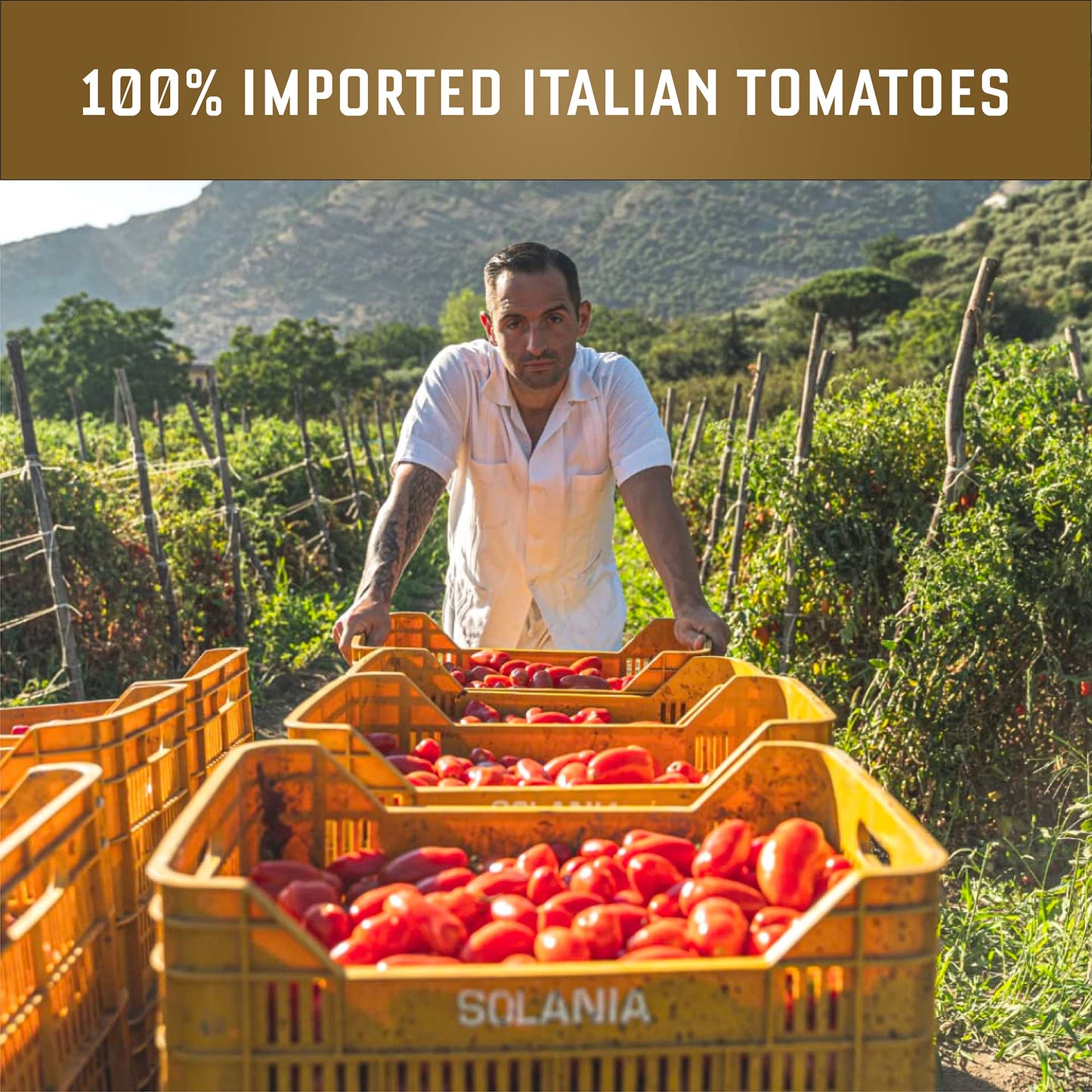 Carbone Pasta Sauce Variety Pack Of Tomato Basil, Marinara, Arrabbiata, Roasted Garlic, Tomato Sauce Made With Fresh, Natural In