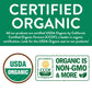 FGO Organic Rooibos Tea  Eco-Conscious Tea Bags  100 Count  Packaging May Vary (Pack of 1)