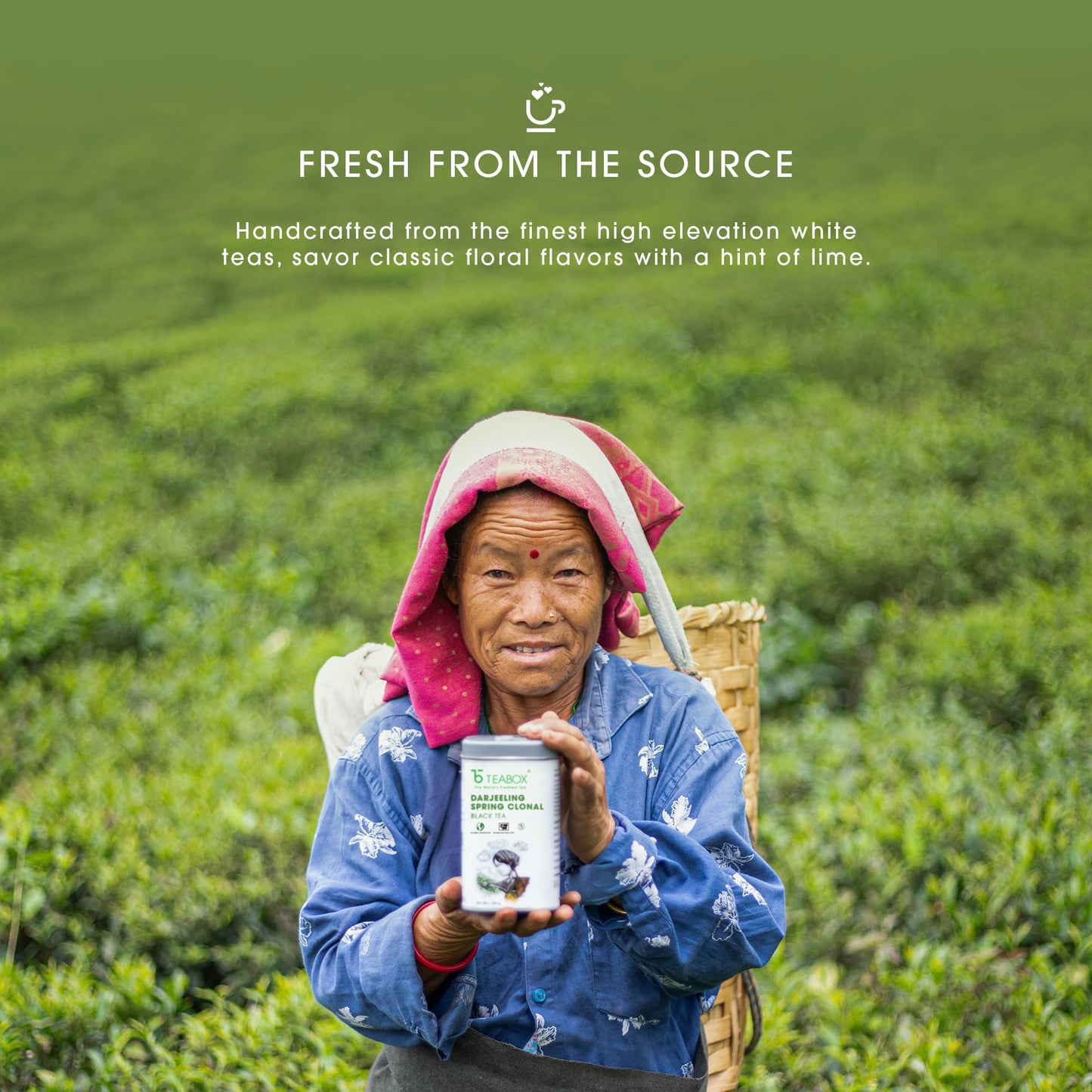 Teabox Premium Fresh High Grown Darjeeling Special Spring White Tea | White Tea Blend Of Floral-Fruity Aromas And A Silken Textu