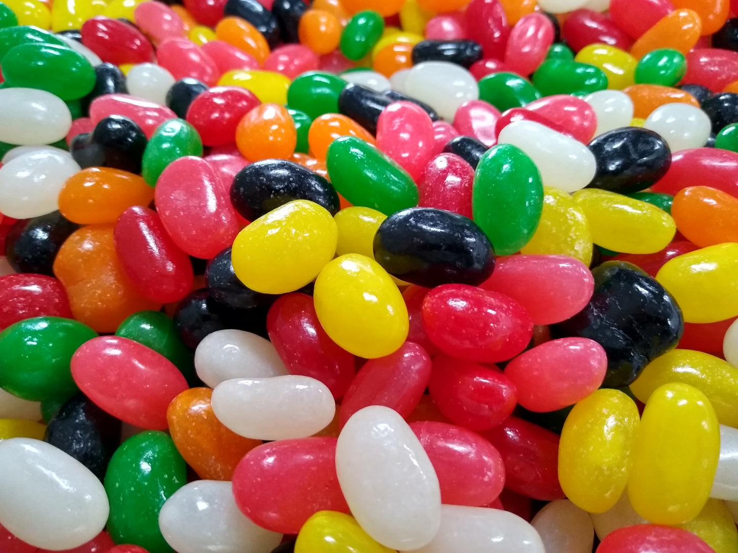 Jumbo Assorted Spiced Jelly Beans - 1 lb of Fresh Delicious Extra Large Licorice Sassafras Peppermint Clove Cinnamon Spearmint J