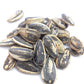 Bricktown Goods Jamaican Jerk Flavored Sunflower Seeds - 3 Pack - Boldly Seasoned And Roasted In-Shell Sunflower Seeds - 24 Oz Total