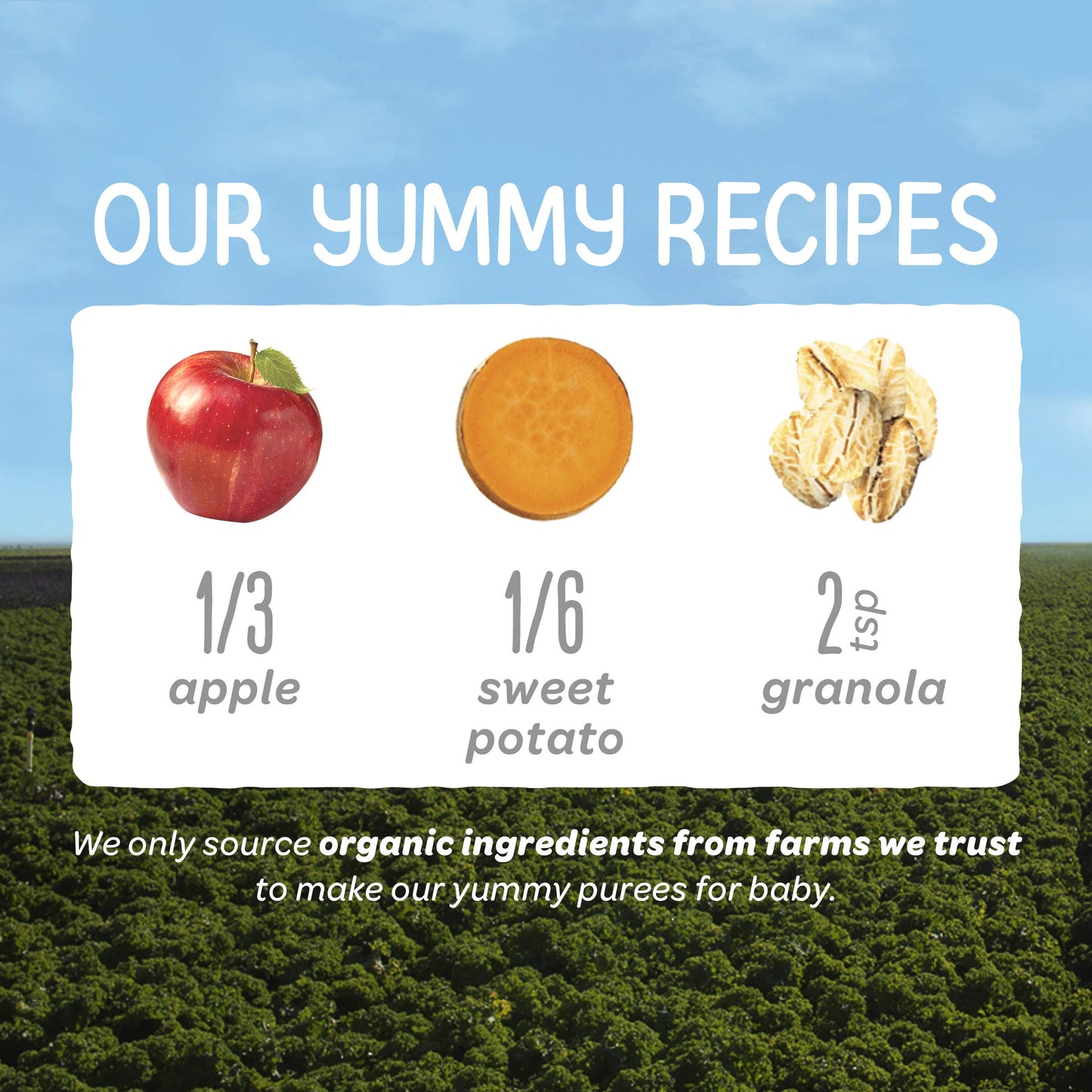 Happy Baby Organics Stage 2 Baby Food Pouches, Gluten Free, Vegan & Healthy Snack, Clearly Crafted Fruit & Veggie Puree, Apples,