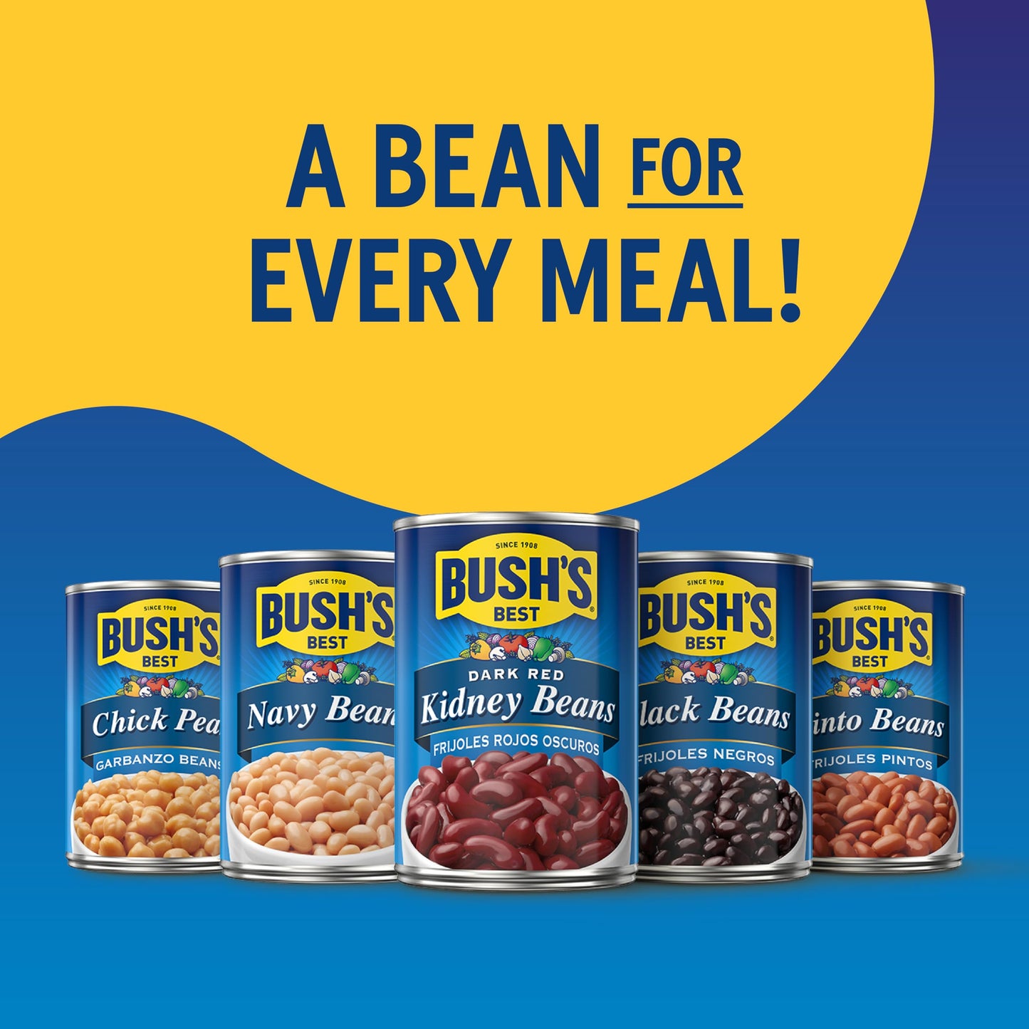 BUSH S BEST 15 oz Canned Black Beans, Source of Plant Based Protein and Fiber, Low Fat, Gluten Free, (Pack of 12)
