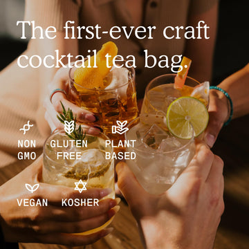 SAYSO Cocktail Tea Bags - Instant Mixers, Organic Ingredients - 16 Count (Pack of 2)