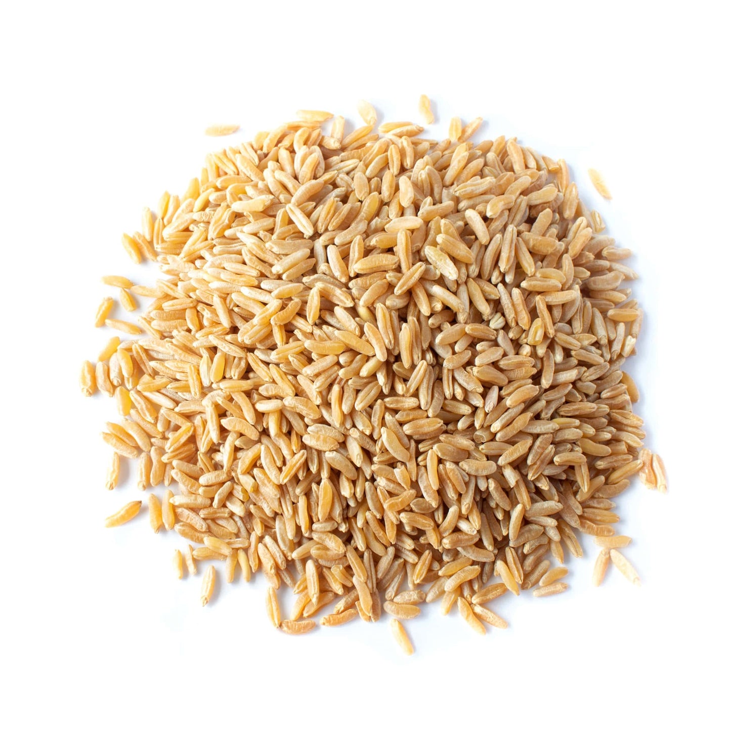 Food to Live Organic KAMUT Khorasan Wheat Berries, 5 Pounds - 100% Whole Grain, Sproutable for Wheatgrass, Non-GMO, Kosher, Bulk