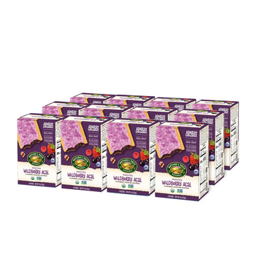 Nature'S Path Frosted Wildberry Toaster Pastry (6X11 Oz.)