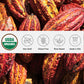 One Farm by WAAYB Organic Cacao, Single Estate, Non-GMO, Fair-Trade, Vegan, Gluten Free, 100% Raw Rizek Cacao in Resealable Bag