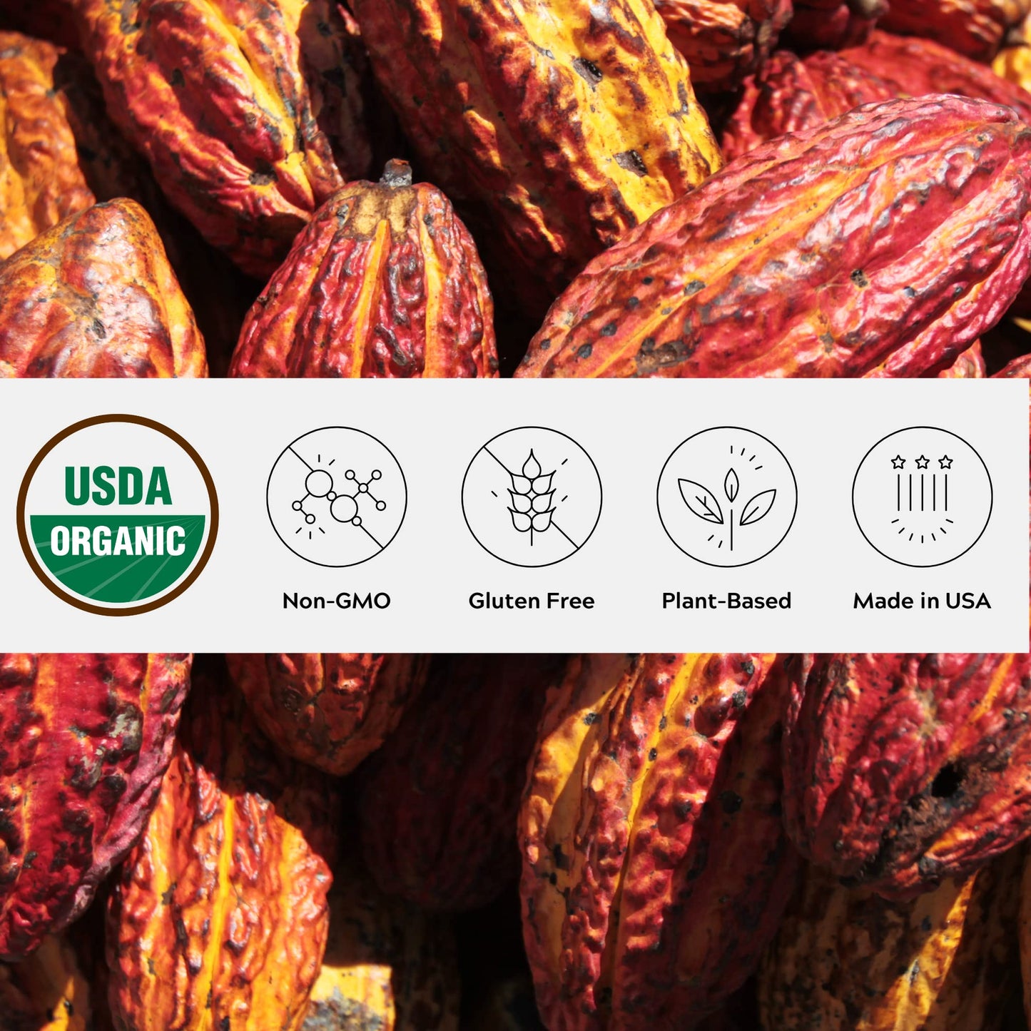 One Farm by WAAYB Organic Cacao, Single Estate, Non-GMO, Fair-Trade, Vegan, Gluten Free, 100% Raw Rizek Cacao in Resealable Bag