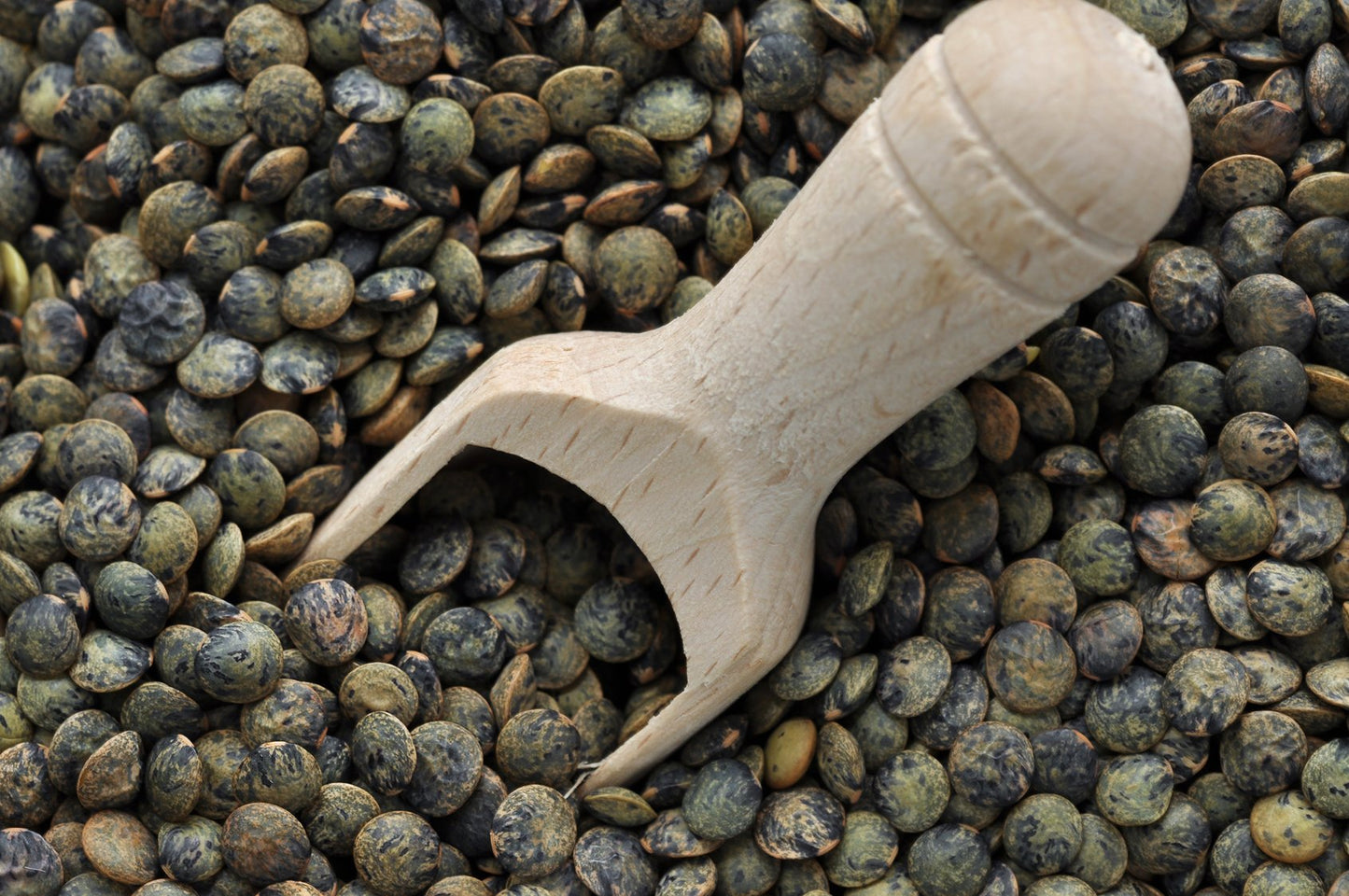 Hunza Organic French Lentils (2 lbs)