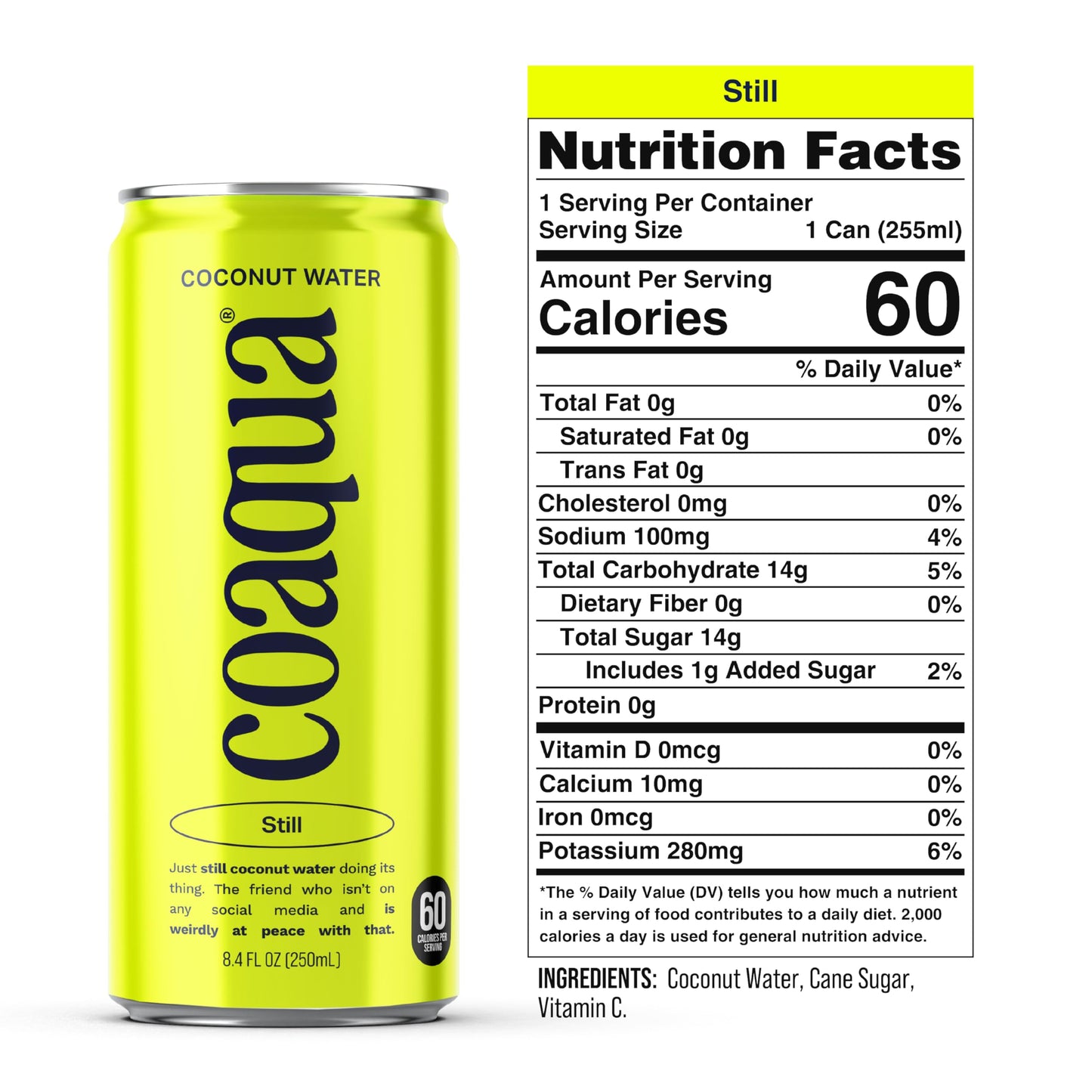 Coaqua Coconut Water  24 Pack  Natural Electrolytes for Hydration  Naturally Sweet Electrolyte Drink Potassium  Pure Coconut Water Not from Concentrate  Fat Free  Low Sugar  8.4 Fl Oz Cans