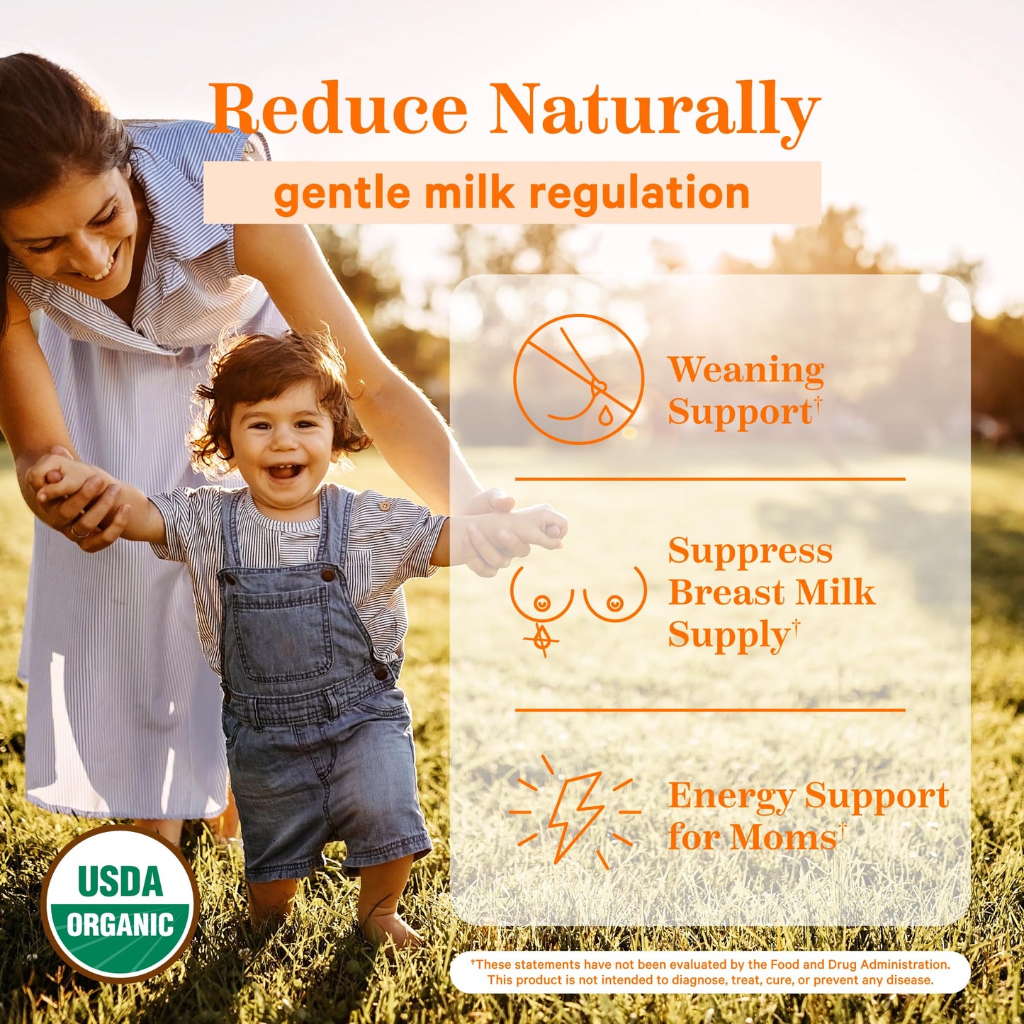 Pink Stork No Flow - Organic Sage Tea To Dry Up Breast Milk Supply And Decrease Milk Production, Stop Breastfeeding, Wean Lactat