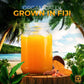 Fresh Organic Turmeric Root - 10 Lbs Whole Raw Root