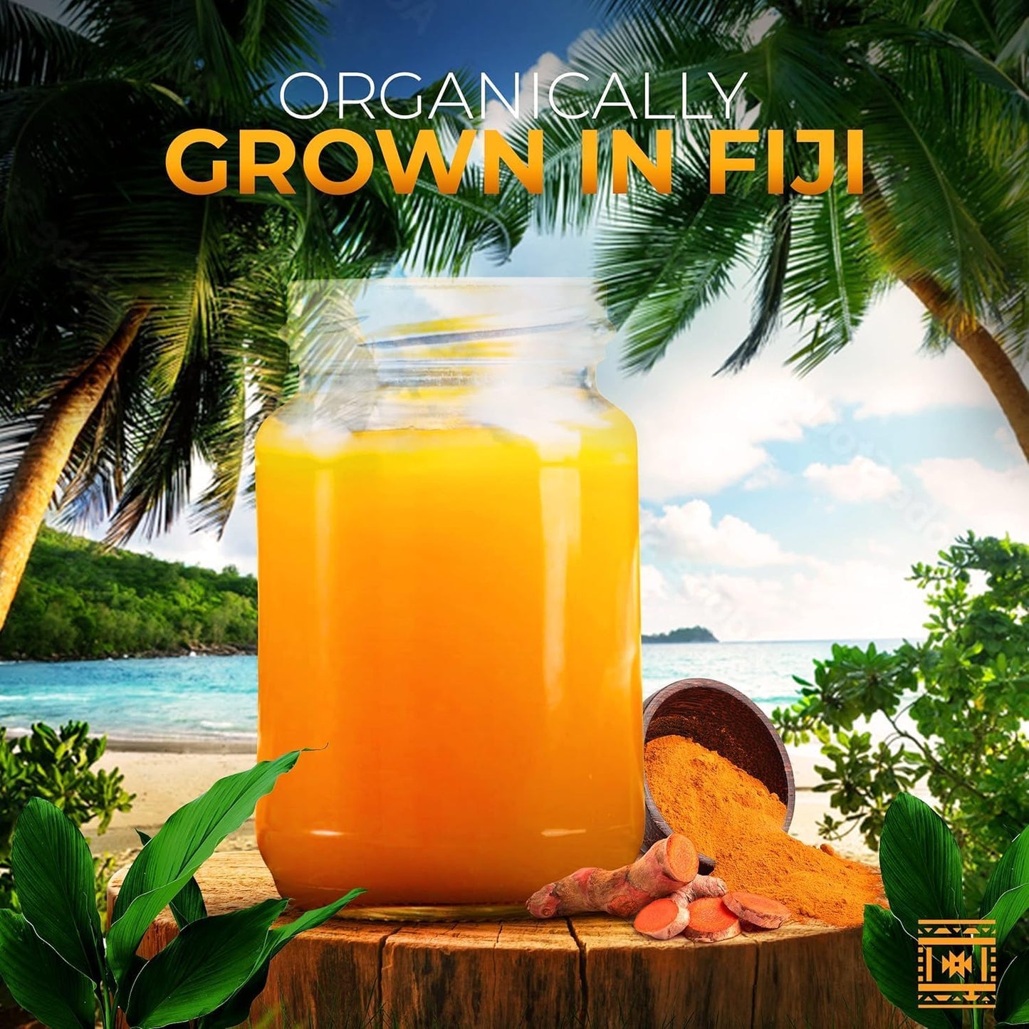 Fresh Organic Turmeric Root - 10 Lbs Whole Raw Root
