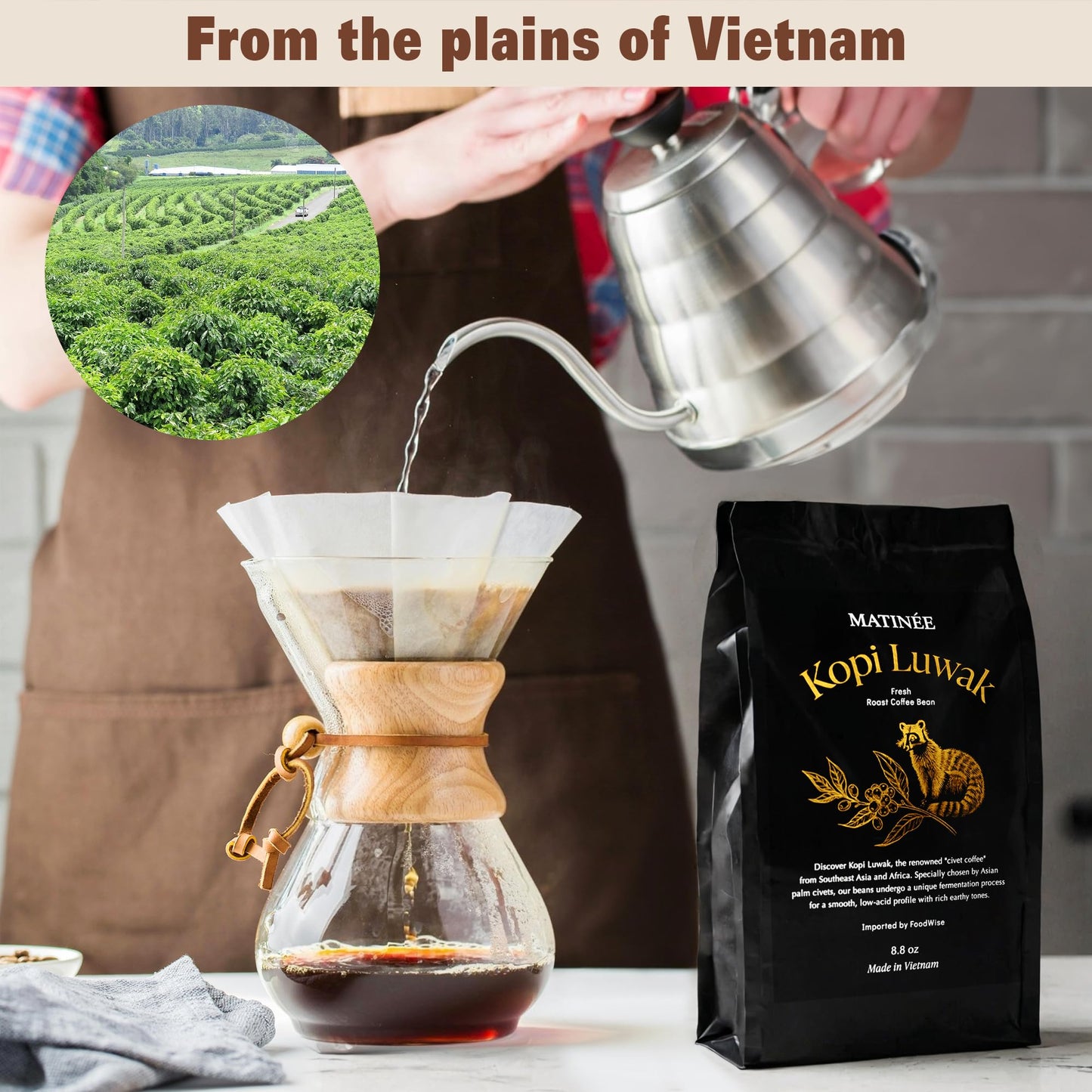 Matin  E Wild Kopi Luwak Coffee Beans, Medium Roast, Whole Bean Beans, Civet Coffee - Sustainably Sourced From Vietnam, 8.8Oz /