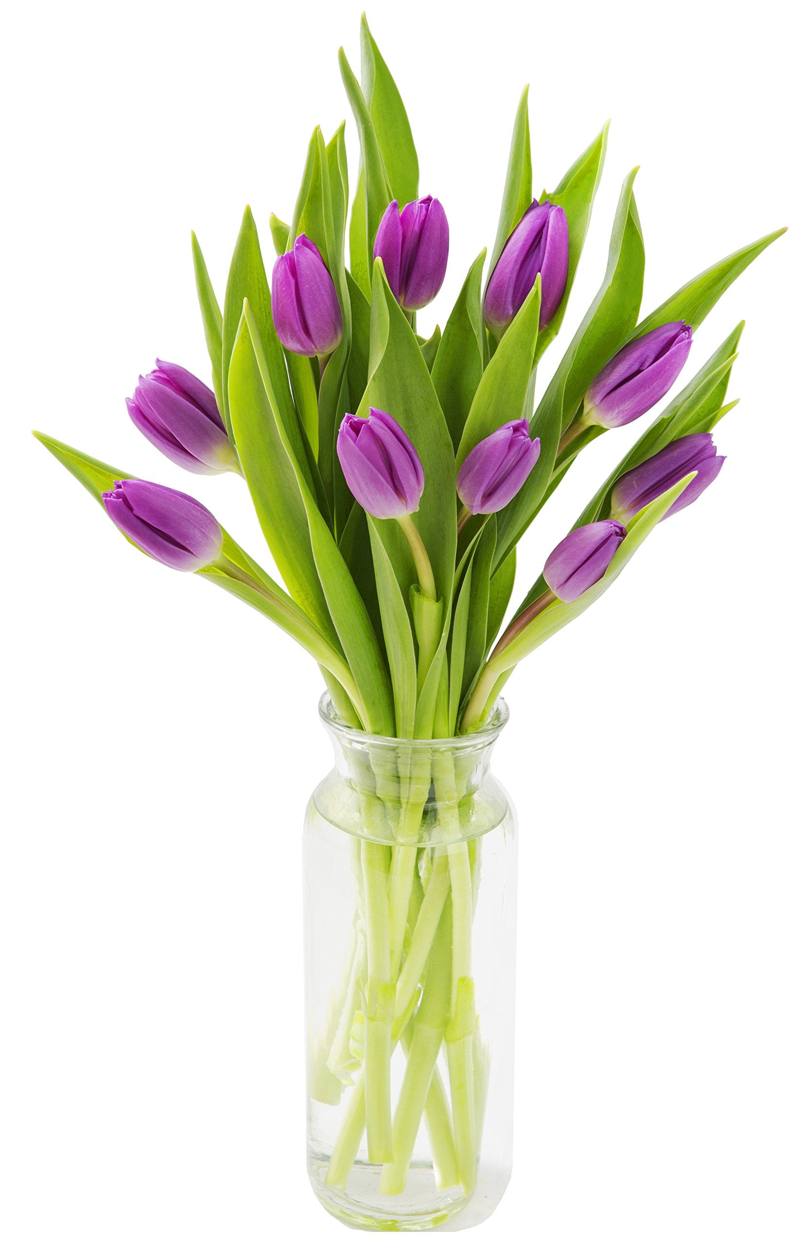 KaBloom Fresh Purple Tulip Bouquet with Vase - Fall Collection, Model KaB-AZ-1136