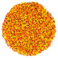 Mystic Sprinkles Colors of Autumn Nonpareils Mix 3.8oz Bottle