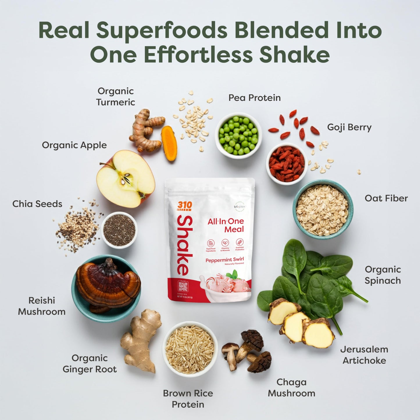 310 Nutrition All-In-One Meal Replacement Shake Powder - Plant-Based Protein Protein Powder with High-Fiber, Probiotics, Digesti