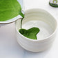 eco heed Matcha Green Tea Powder Organic Ceremonial Grade 1.4oz - 1st Harvest enhanced Matcha From Uji - Matcha Wellness