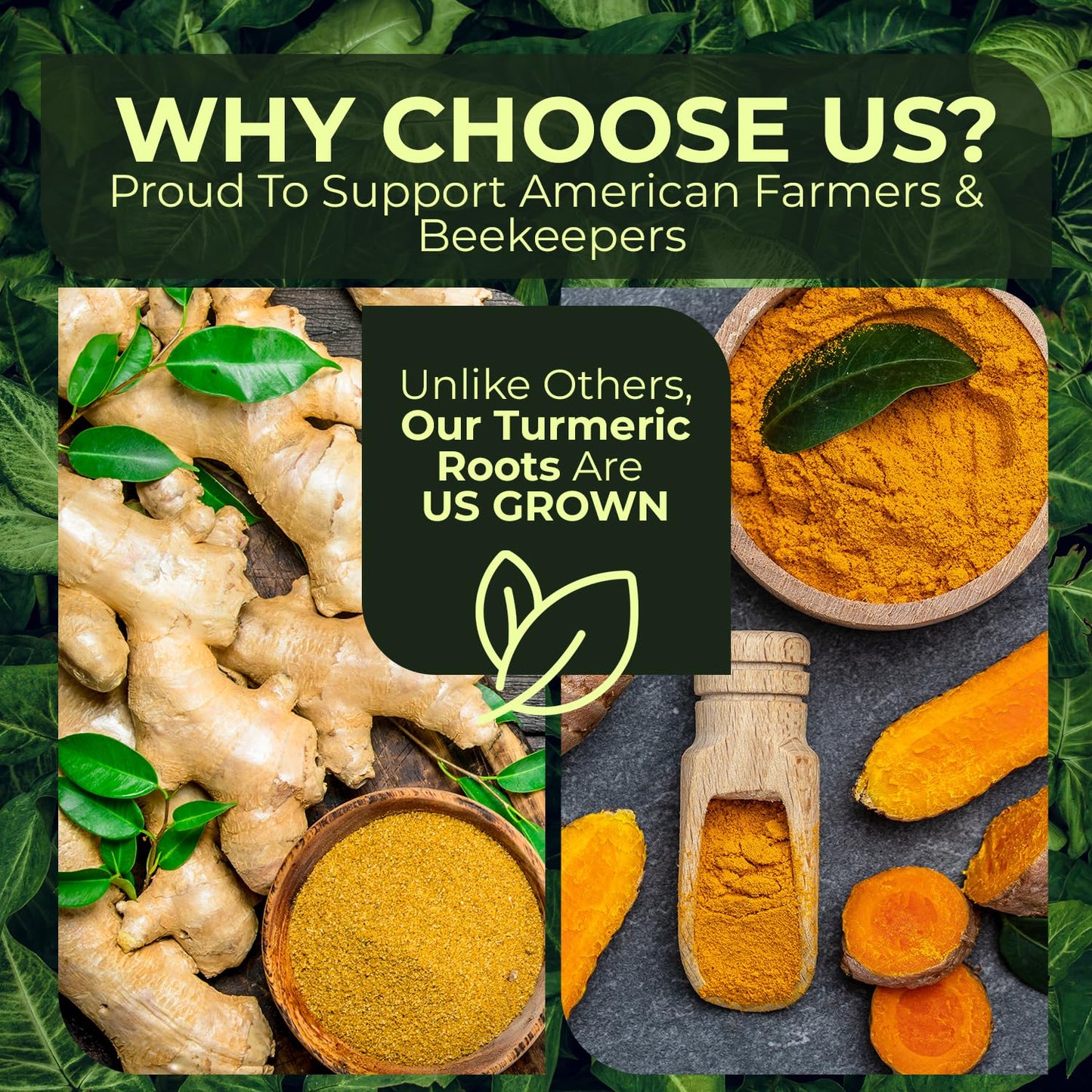 2 Lbs Us Grown (Not From Fiji!) Organic Turmeric Ginger Root Blend Box (1 Lb Us Grown Turmeric Fresh + 1 Lb Peruvian Ginger Fres